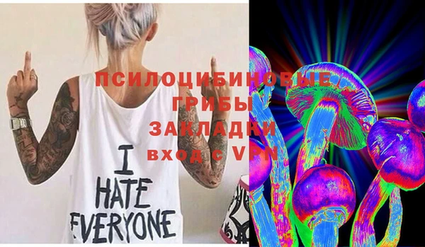 дживик Абинск