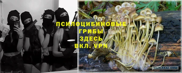 дживик Абинск